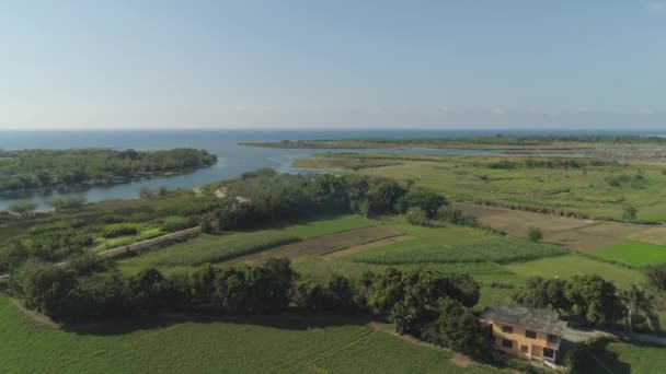 Tropical landscape with farmland, sea, sky. — Stock Video