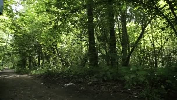 Girl runs on the road in a field. — Stock Video