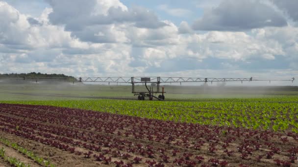 Mezőgazdasági földterületek öntözőrendszere. — Stock videók