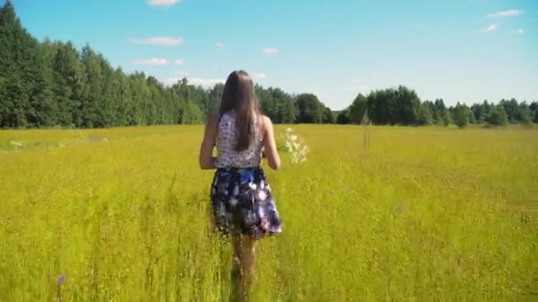 Yaz manzara, kız, keten alan — Stok video