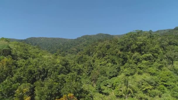 Kilátás hegyvidéki táj esőerdő. — Stock videók