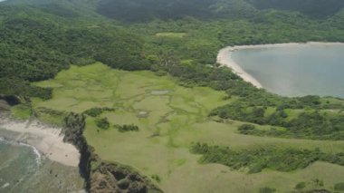 Palau adasının kıyısında. Filipinler.