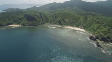 Palau adasının kıyısında. Filipinler.