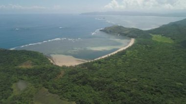 Palau adasının kıyısında. Filipinler.