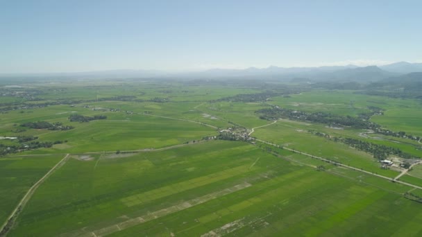 Landschaft mit Reisterrassenfeld. Philippinen, Luzon. — Stockvideo