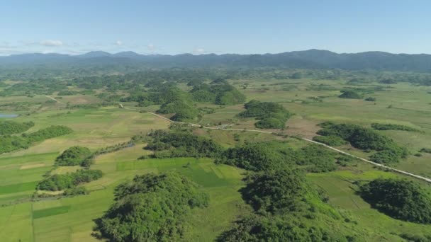 Landschap met rijst terras veld. Filippijnen, Luzon. — Stockvideo