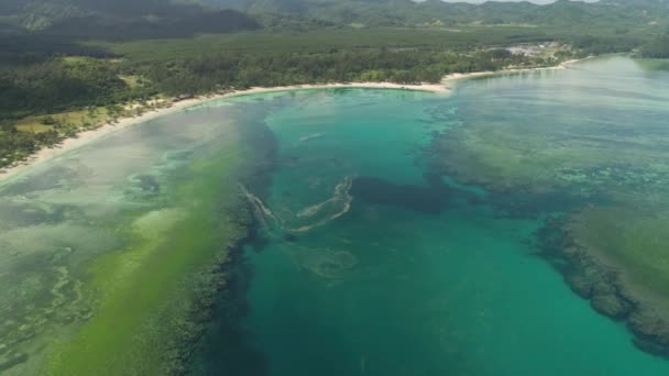 Przylądek morski z plażą i morzem. Filipiny, Luzon. — Wideo stockowe