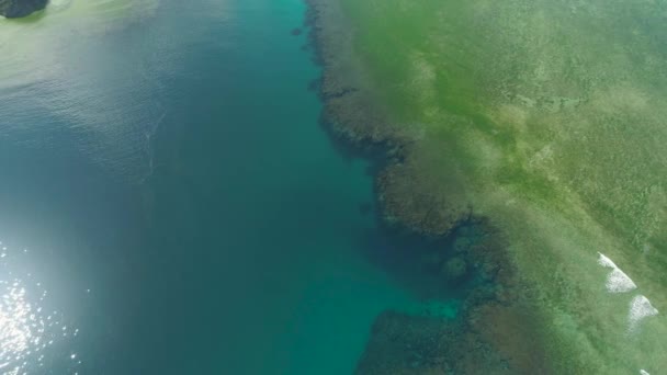 Hermoso arrecife de coral — Vídeos de Stock