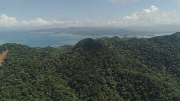 パラオ島の海岸。フィリピン. — ストック動画