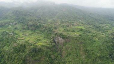 Dağlarda pirinç terasları.