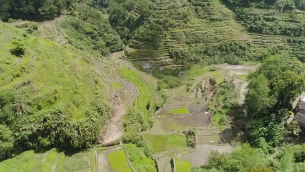 Terraços de arroz nas montanhas. Filipinas, Batad, Banaue. — Vídeo de Stock