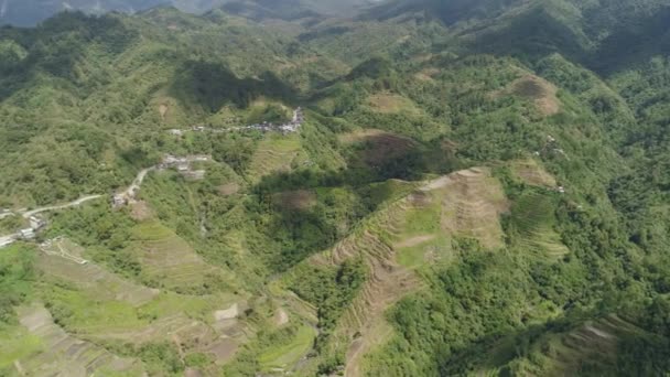 Risterrasser i bergen. Filippinerna, Batad, Banaue. — Stockvideo