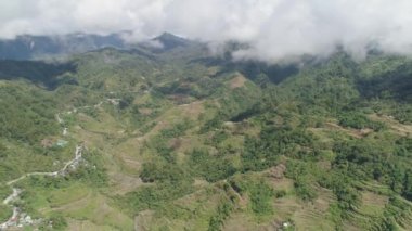 Dağlarda pirinç terasları. Filipinler, Batad, Banaue.