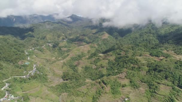 Dağlarda pirinç terasları. Filipinler, Batad, Banaue. — Stok video