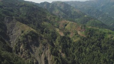 Filipinler 'de bir dağ ilinde tarım arazisi, Luzon