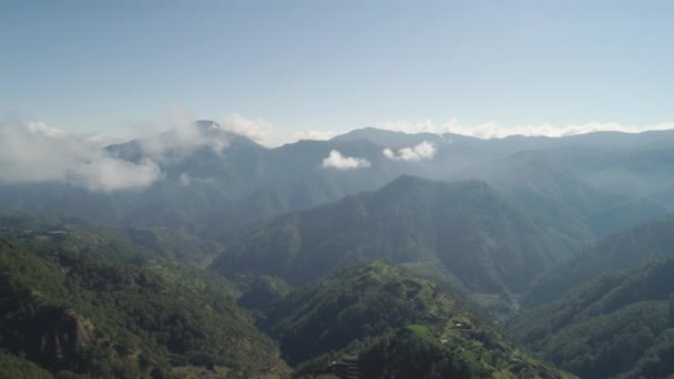 Terrazas de arroz en las montañas. — Vídeo de stock