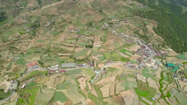 Boerderij in een bergprovincie Filipijnen, Luzon — Stockvideo