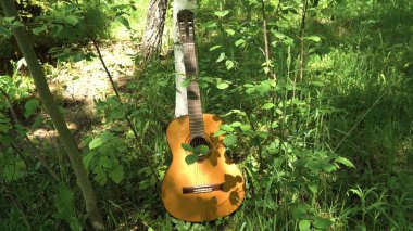 Ormanda akustik gitar.