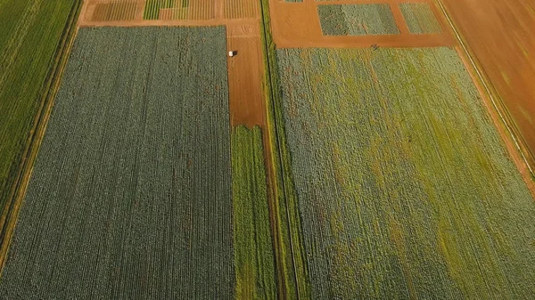 Vista aérea de las tierras de cultivo . —  Fotos de Stock