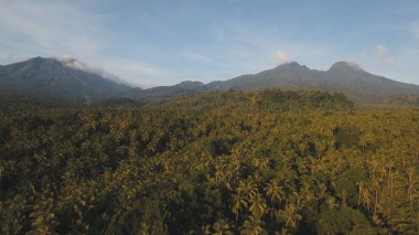 Tropikal orman ile Dağları. Camiguin Adası Filipinler.