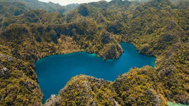 Filipinler, Coron, Palawan 'da tropikal bir adada Barakuda Gölü.