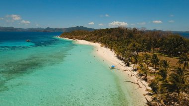 Havadan görünümü güzel plaj tropikal bir ada Malcapuya. Filipinler.