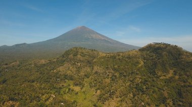 Dağ manzarası tarım arazileri ve Endonezya Bali köyü.