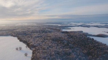 Kış manzara orman ile alan. Kış manzarası.