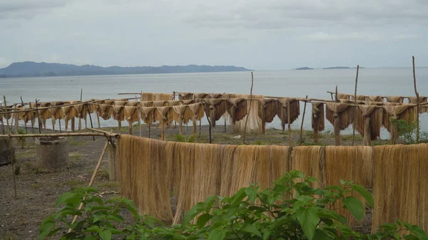 Сушка пальмовых волокон . — стоковое фото