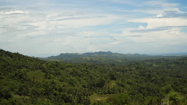 Montañas con bosque tropical. Filipinas Isla de Bohol . — Foto de Stock