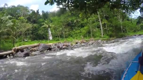 Vadvízi evezés a hegyi folyó Indonéziában. — Stock videók