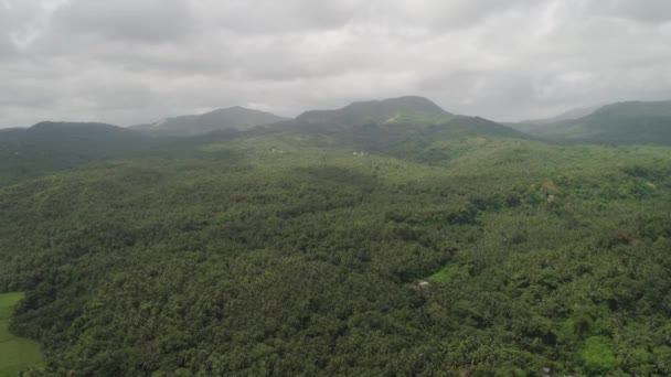 Tropische Landschaft mit Palmen. Philippinen, Luzon — Stockvideo