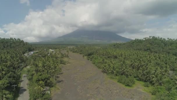 Mount Mayon vulcano, Filipinler, Luzon — Stok video