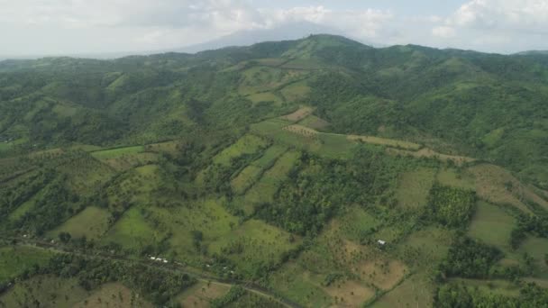 Palmen und landwirtschaftliches Land in der bergigen Provinz — Stockvideo