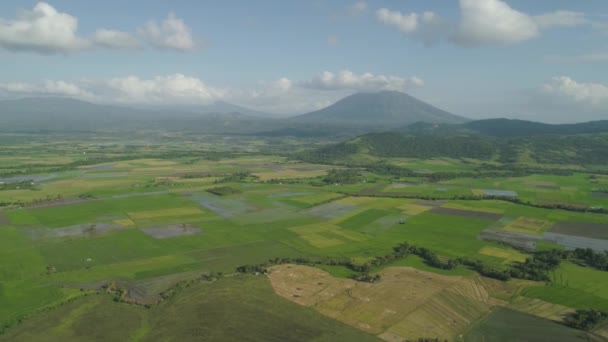 Vallée de montagne avec des terres agricoles aux Philippines.