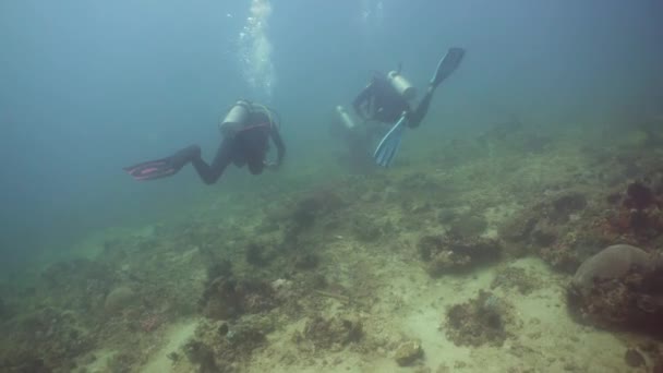 Tüplü dalgıçlar suyun altında. Filipinler, Mindoro. — Stok video