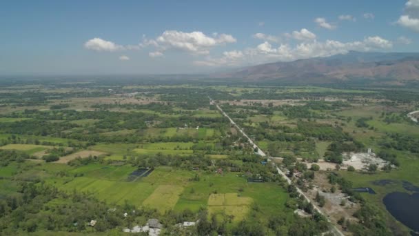 Paesaggio tropicale con campi agricoli nelle Filippine . — Video Stock