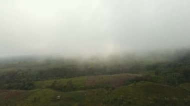 Sisin içindeki dağlarda tarım arazileri. Jawa Adası, Endonezya