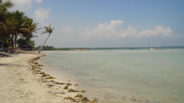 桑迪白色海滩。菲律宾. — 图库视频影像