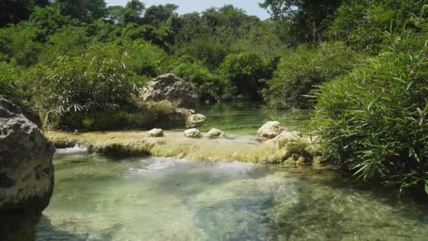 Река в джунглях. — стоковое видео