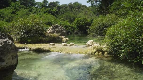 Rivier in het regenwoud. — Stockvideo