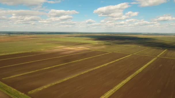 Flygfoto över jordbruksmark. — Stockvideo