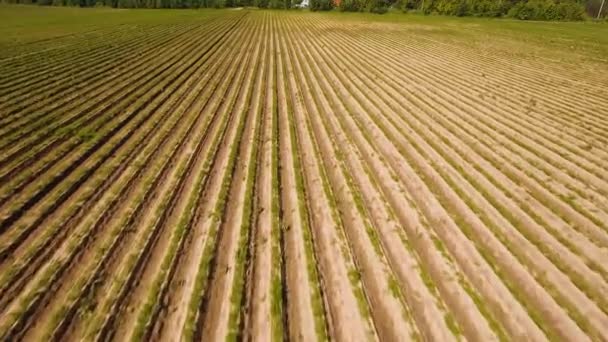 Vista aérea das terras agrícolas . — Vídeo de Stock