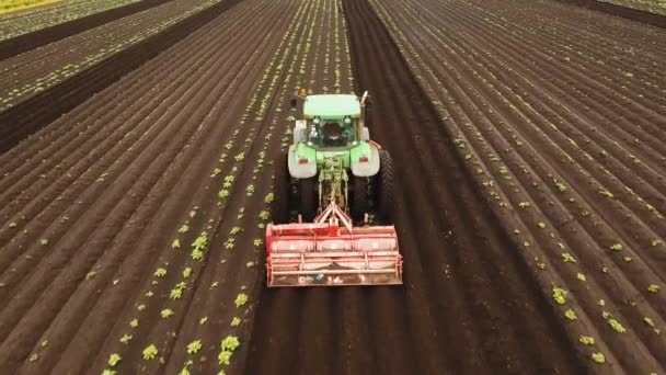 Tractor cultiva la tierra en el campo. — Vídeos de Stock