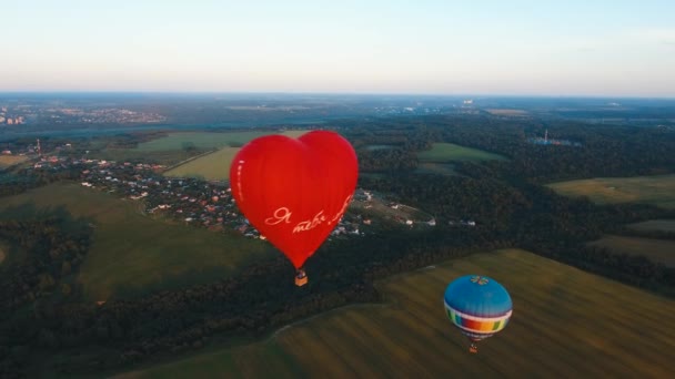 Balon na ogrzane powietrze w niebo nad polem. — Wideo stockowe