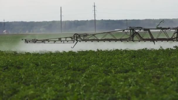 Tractor is spraying fertilizers field. — Stock Video