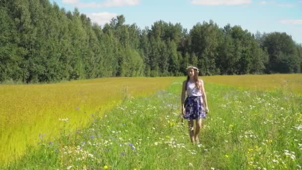 Menina andando no campo . — Vídeo de Stock