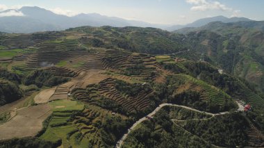 Filipinler 'de bir dağ ilinde tarım arazisi, Luzon