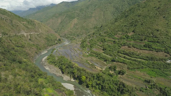 Dağlarda pirinç terasları.