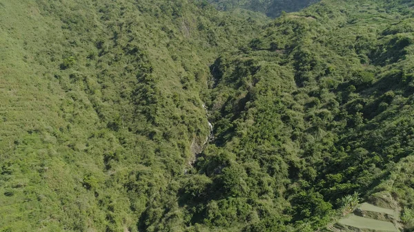 Waterfall in the mountains. — Stock Photo, Image